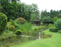 Pool before bridge built ( aquapic)