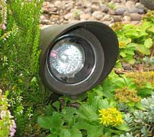 Halogen mini-floodlight ( aquapic)