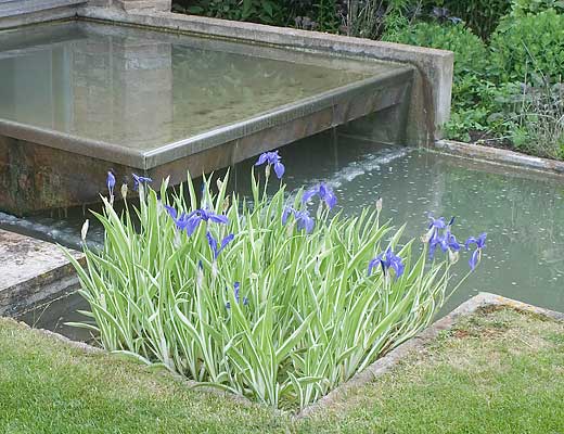 Curtain waterfall and water iris ( aquapic)