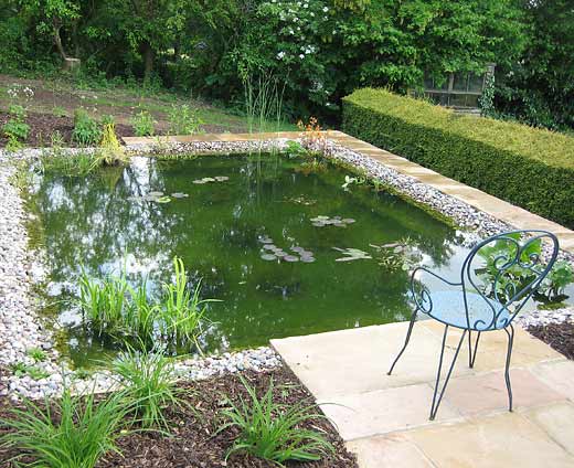 Pond for wildlife  aquapic