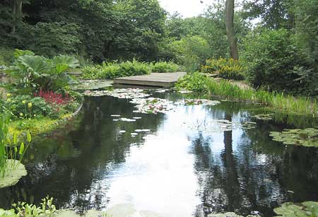 22,000 gallon pool kept clear by plant-filter bed ( aquapic)