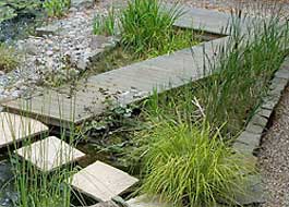 Plant-filter bed traversed by deck path ( aquapic)