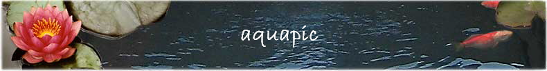   aquapic