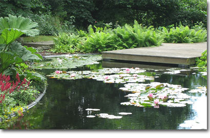 Water Gardens ( aquapic)